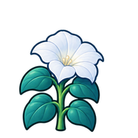 Moonflower